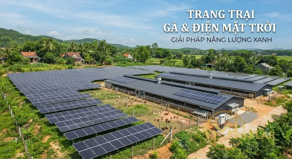Cắt Giảm 10 Triệu Tiền Điện Mỗi Tháng Nhờ Năng Lượng Mặt Trời ở Thanh Hóa